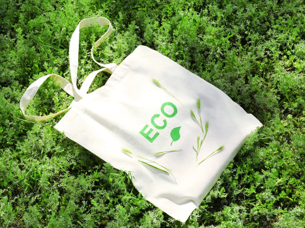 O que é uma Ecobag?